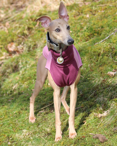 THE ENZO Jumper - Iggy Size
