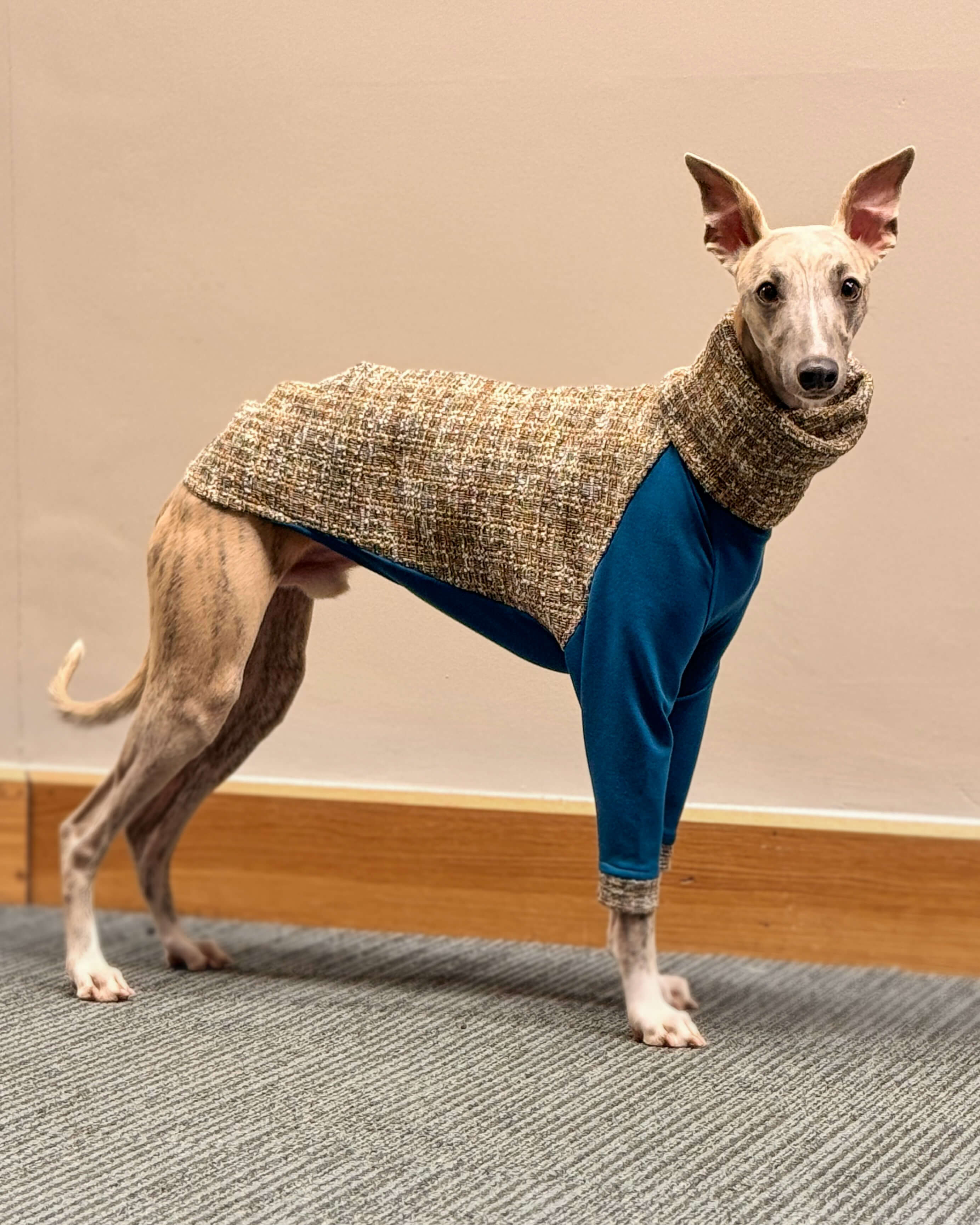 The OPAL Jumper - Iggy Size