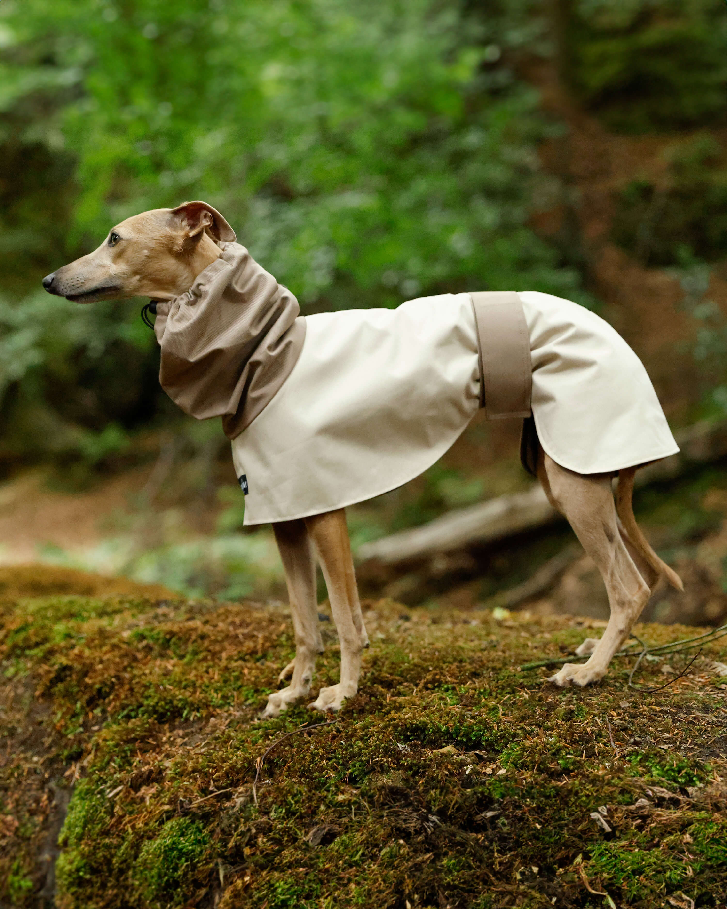 THE ELSA Two Tone Raincoat - Greyhound Size
