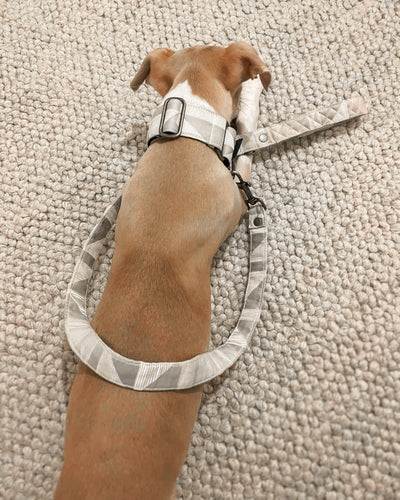 The ZIGGY Martingale Collar