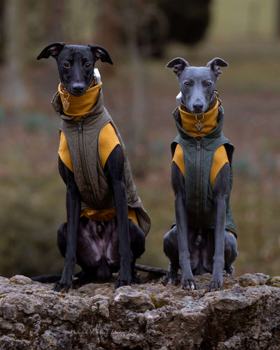 THE MARGOT Whippet Gilet