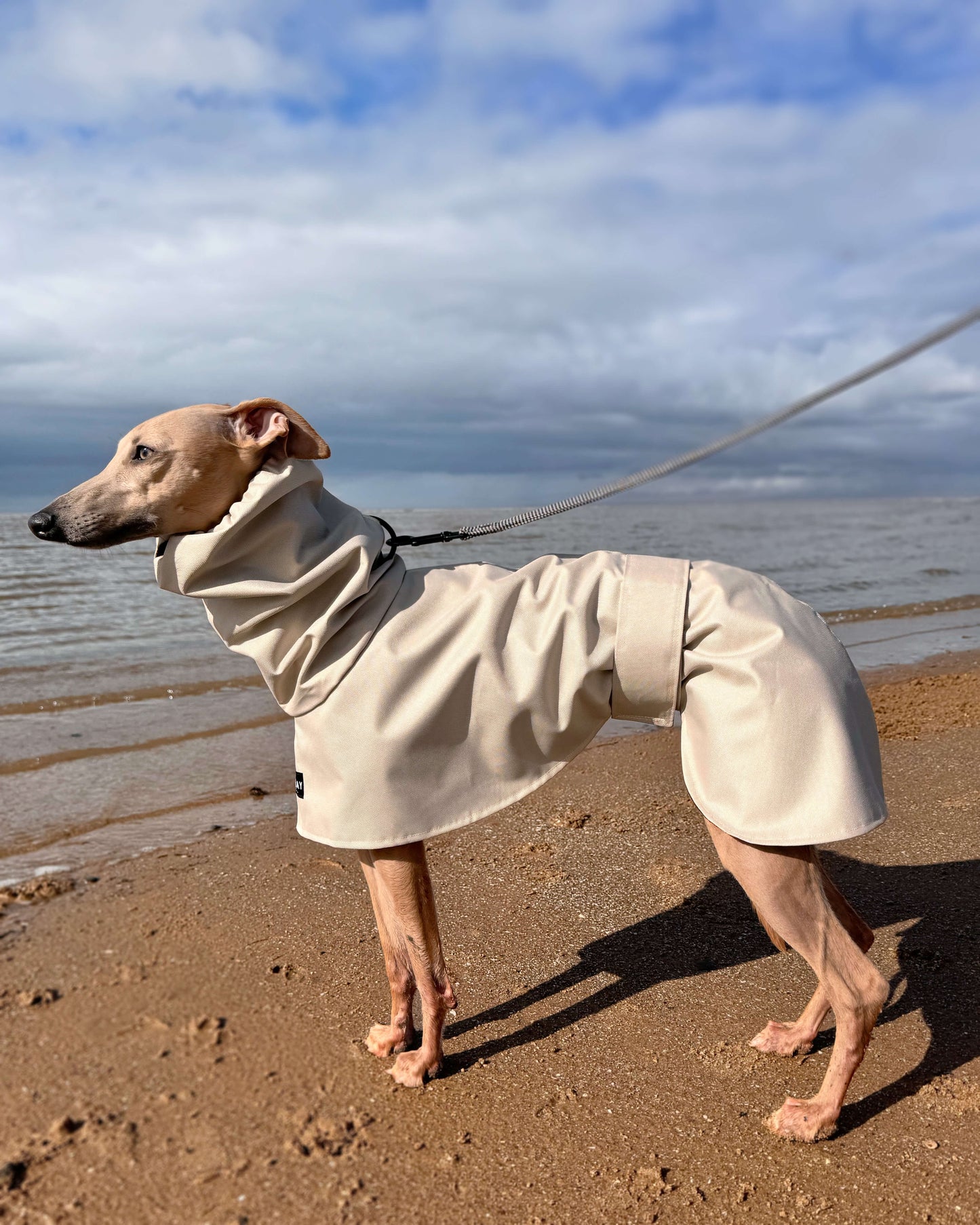 THE ELSA Lightweight, Water Resistant, Whippet Raincoat