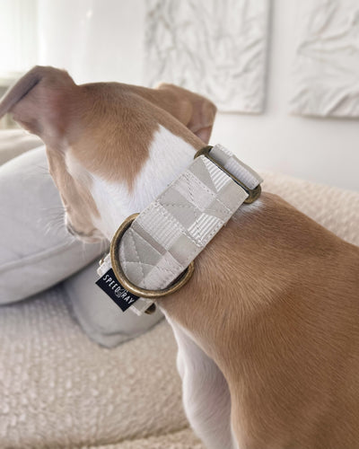 The ZIGGY Martingale Collar