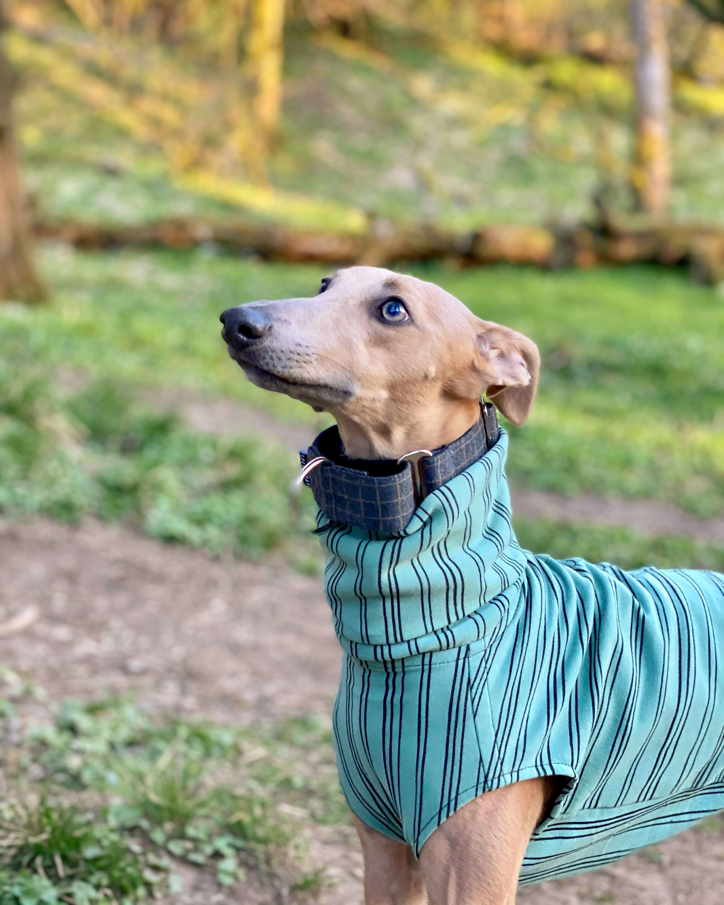 THE BEAU Organic Cotton Whippet Jumper