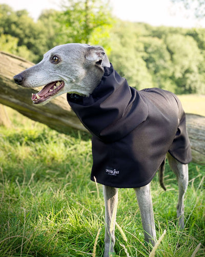 THE THEO Raincoat - Greyhound Size