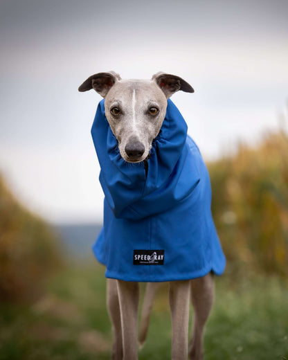 THE BLUE Lightweight Water Resistant, Whippet Raincoat (Blues)