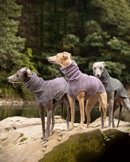 THE MADDY Dog Tooth Check Whippet Jumper