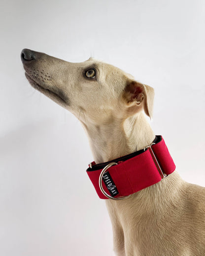 THE ROXY Martingale Collars