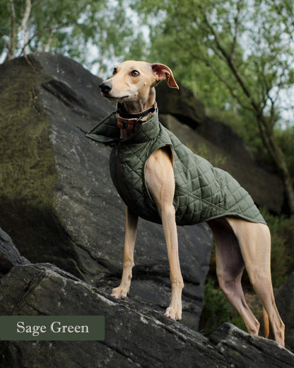 THE MARGOT Gilet - Iggy Size