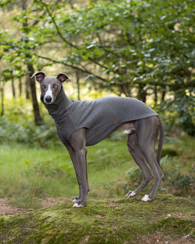 THE CAIRO Whippet Jumper (Darks)
