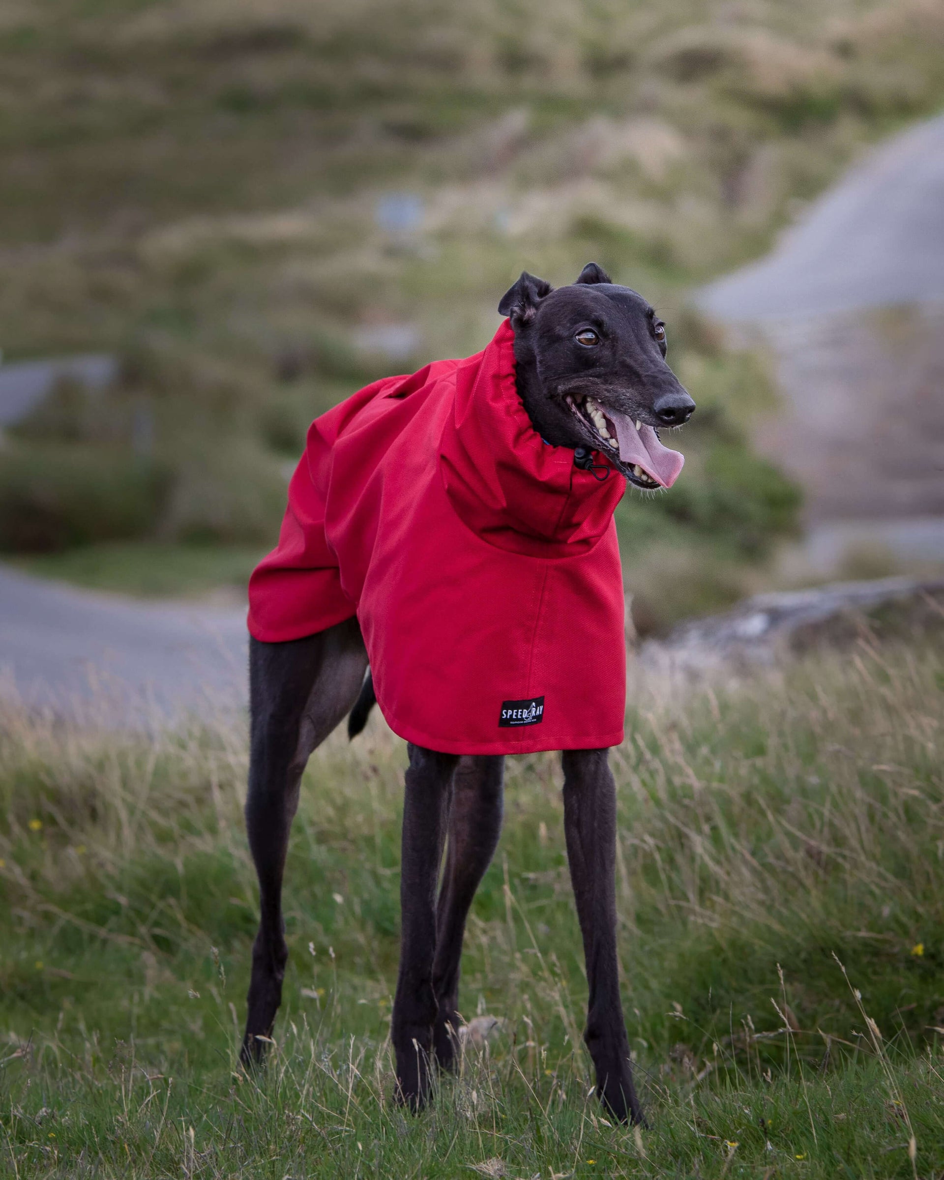 THE ROXY Raincoat Greyhound Size Red S Slim Without