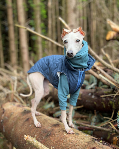 THE MARGOT Gilet - Iggy Size