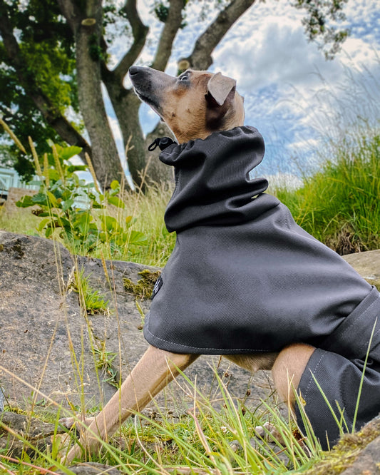 THE THEO Lightweight Italian Greyhound Raincoat Collection