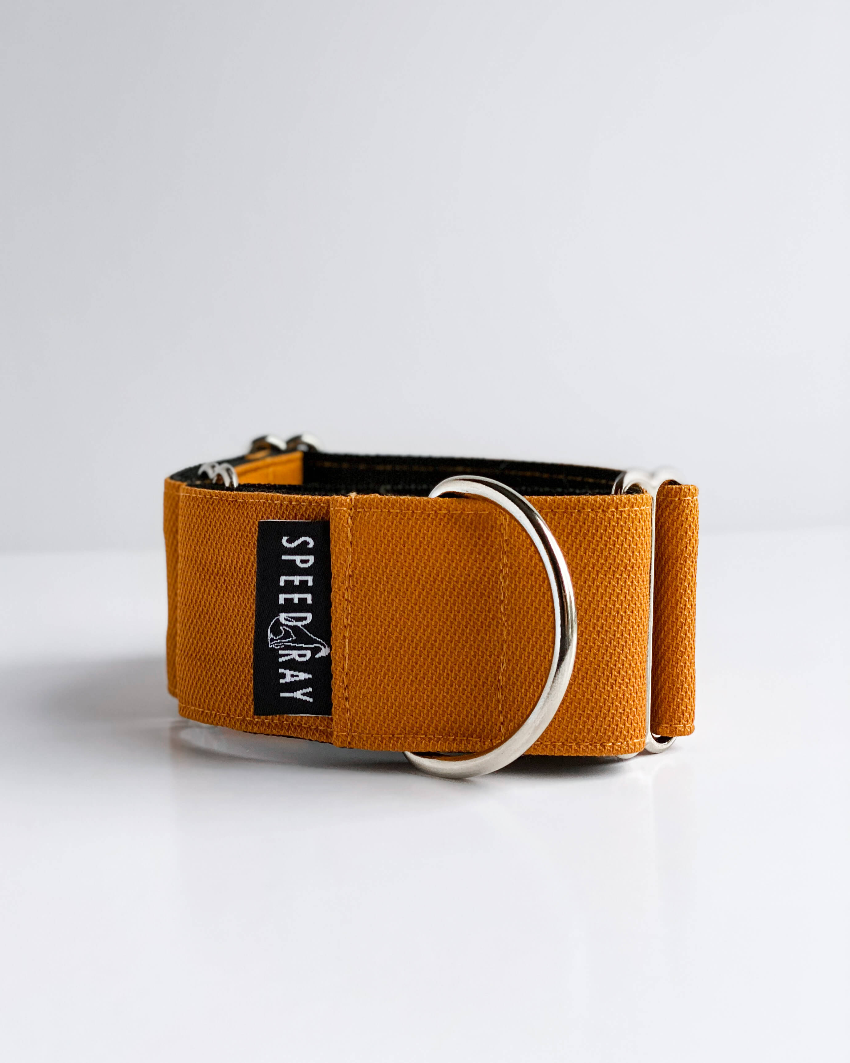 Yellow martingale dog store collar