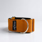 THE ROXY Martingale Collars