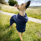 THE BLUE Lightweight Water Resistant, Whippet Raincoat (Blues)