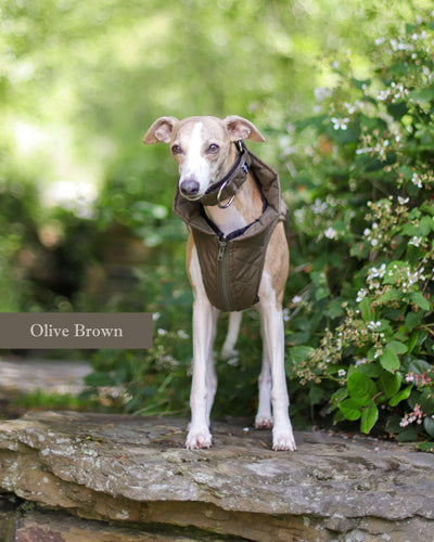 THE MARGOT Whippet Gilet