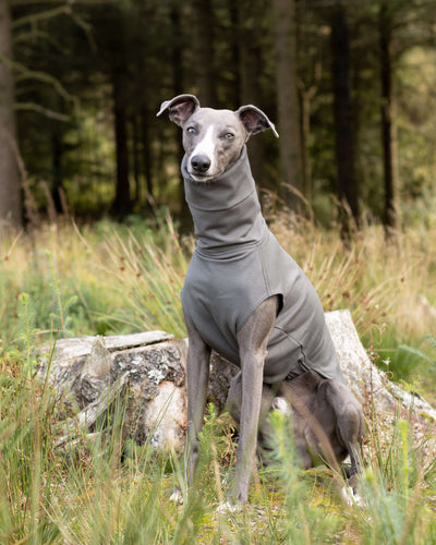 THE CAIRO Jumper (Darks) - Greyhound Size