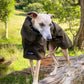 THE THEO Lightweight, Water Resistant, Whippet Raincoat (Darks)
