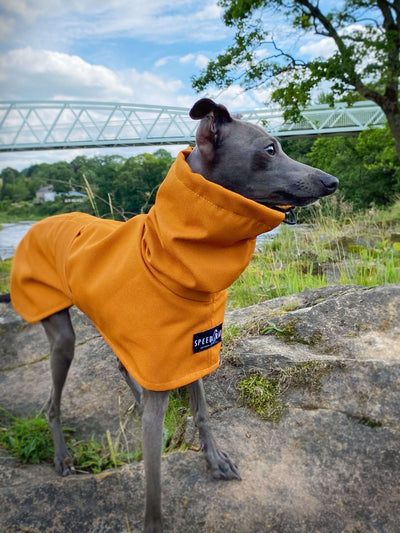 THE ROXY Raincoat - Iggy Size