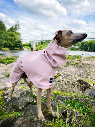 THE ROXY Raincoat - Iggy Size