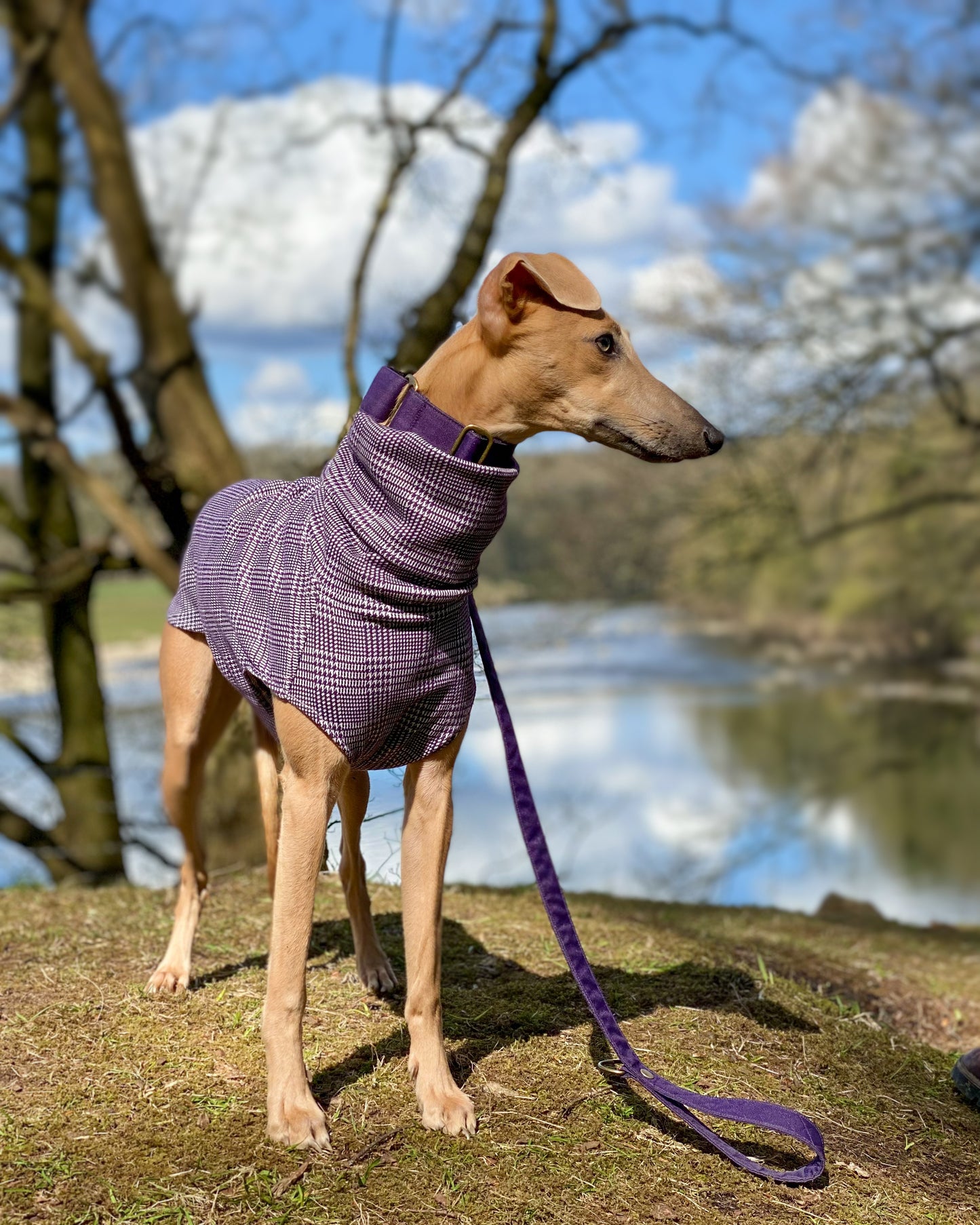 THE MADDY Dog Tooth Check Greyhound Jumper