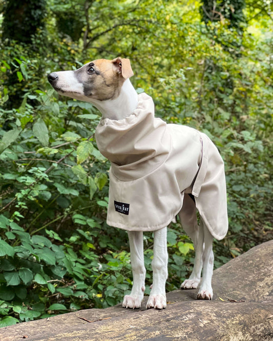 THE OLLIE Water-resistant Puppy Raincoat