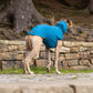 THE CAIRO Whippet Jumper (Blues)