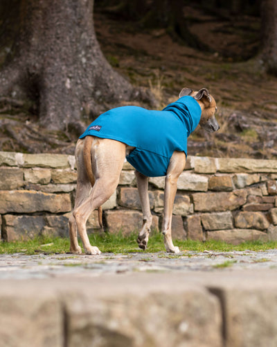 THE CAIRO Whippet Jumper (Blues)