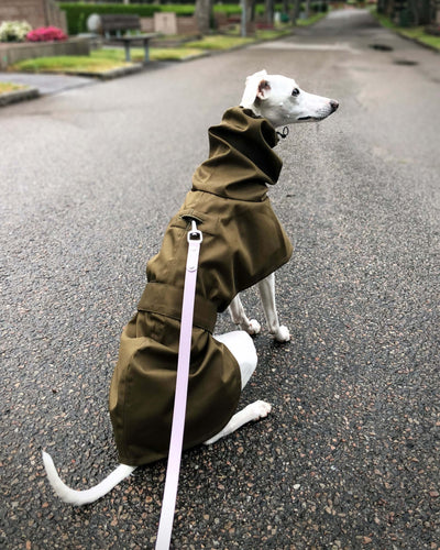 THE ELSA Lightweight, Water Resistant, Whippet Raincoat