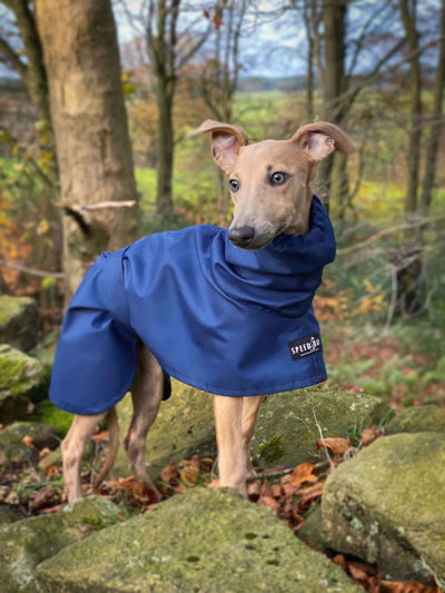 THE OLLIE Water-resistant Puppy Raincoat