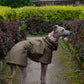THE TEGAN Olive Lightweight, Water Resistant, Whippet Raincoat