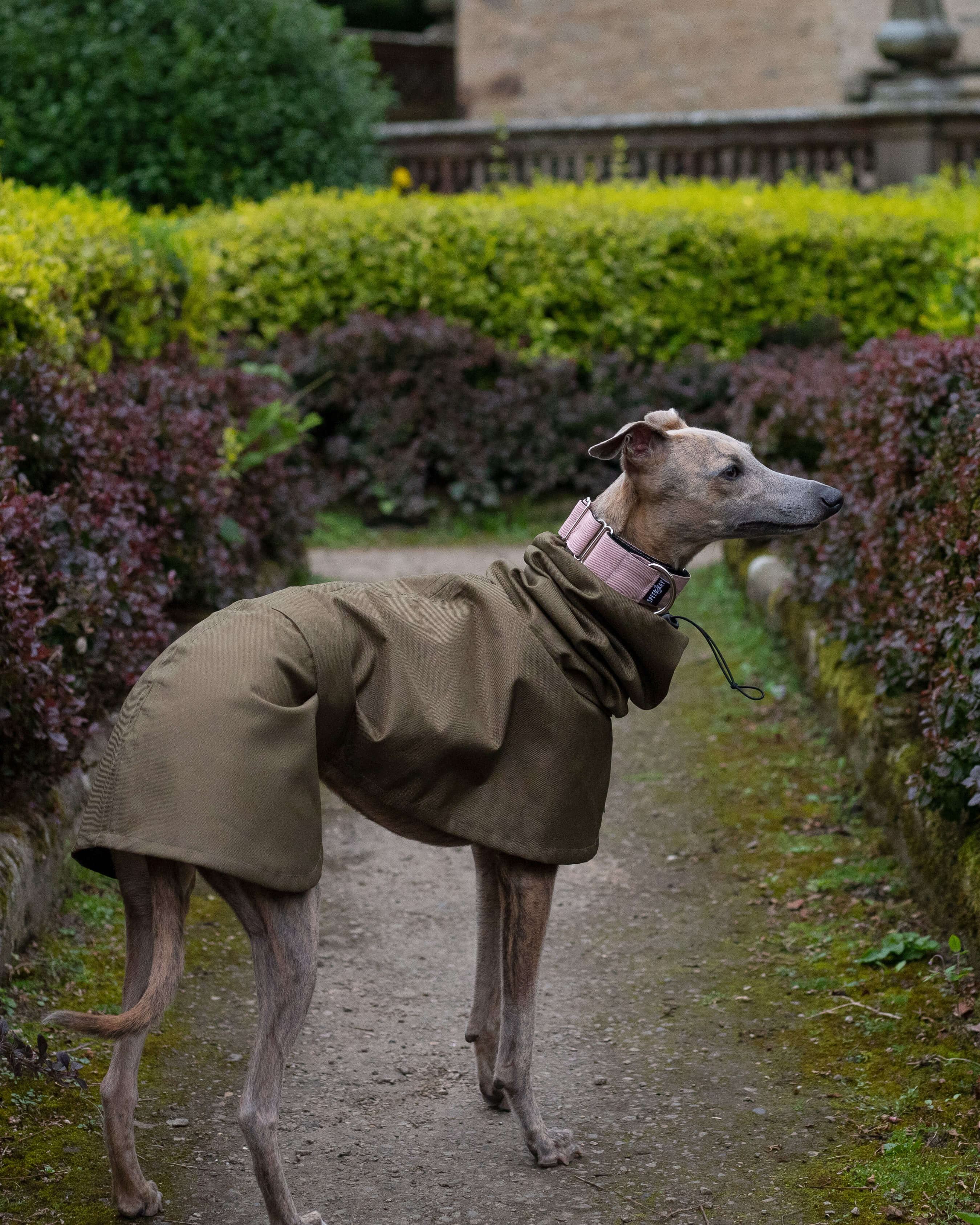 THE ELSA Lightweight, Water Resistant, Whippet Raincoat