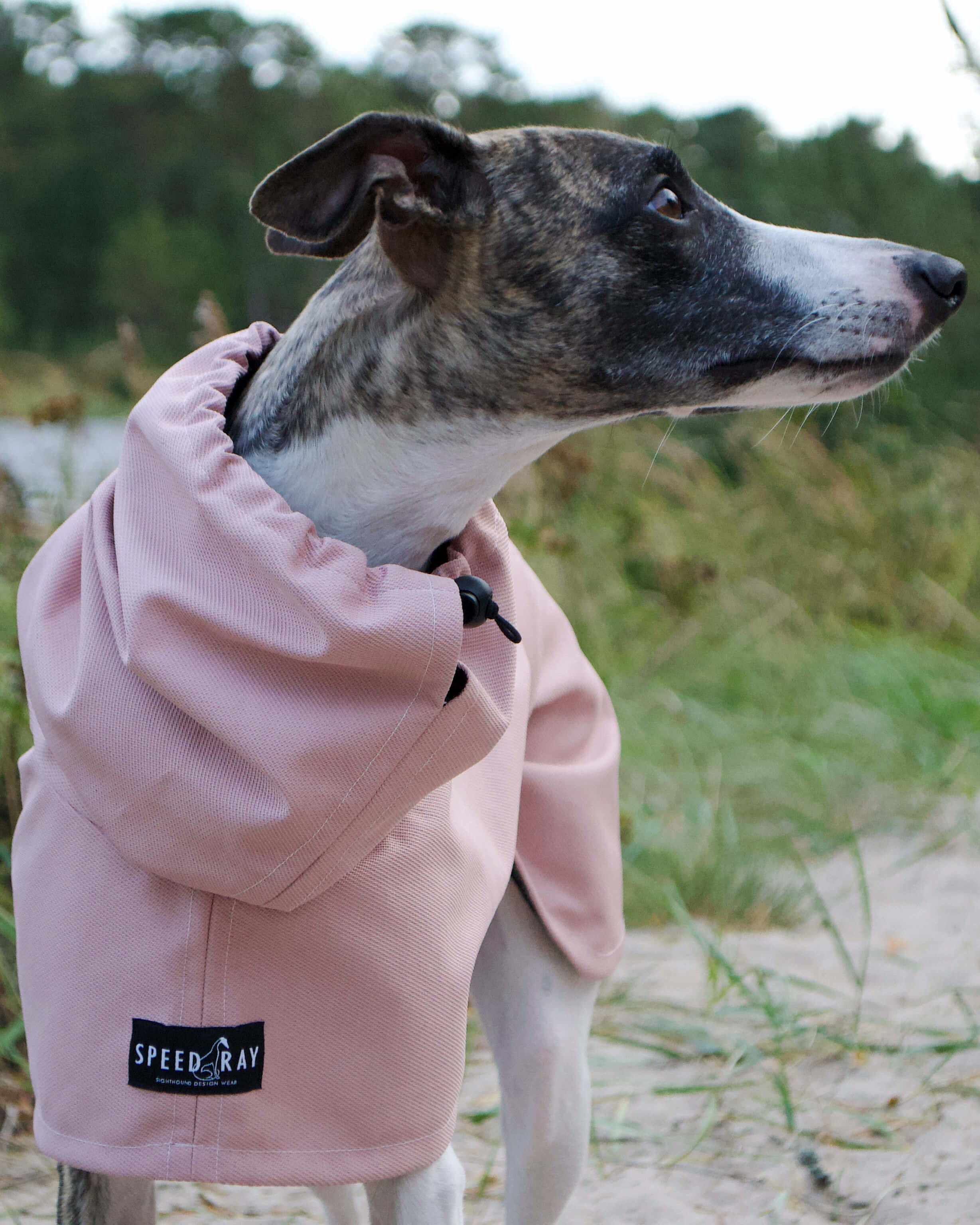 THE ROXY Whippet Raincoat (Lights) - In Stock