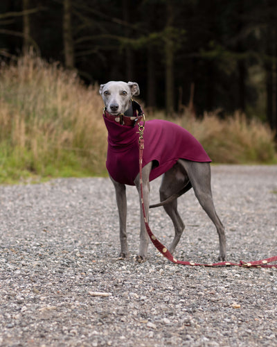 THE CAIRO Whippet Jumper (Reds)