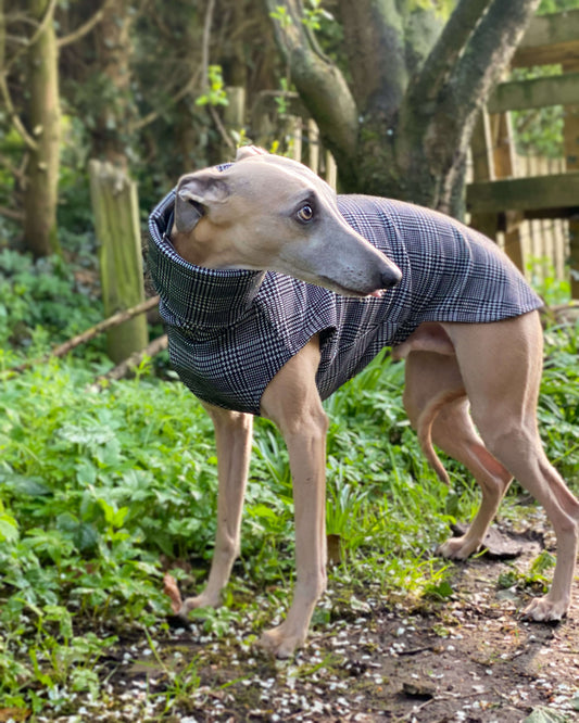 THE MADDY Dog Tooth Check Greyhound Jumper
