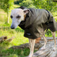 THE THEO Lightweight Greyhound Raincoat Collection