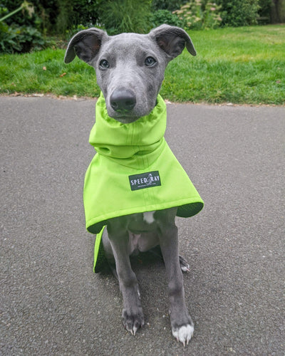 THE OLLIE Water-resistant Puppy Raincoat