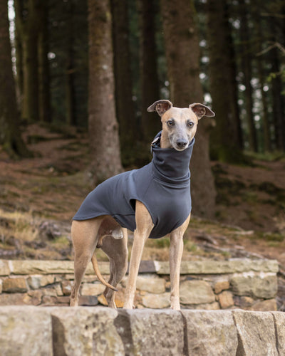 THE CAIRO Jumper (Darks) - Greyhound Size
