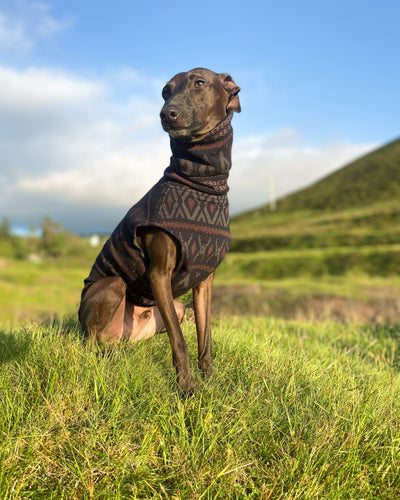 THE SAMMY Jumper - Iggy Size