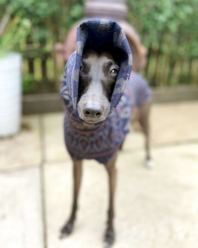 THE SAMMY Jumper - Iggy Size
