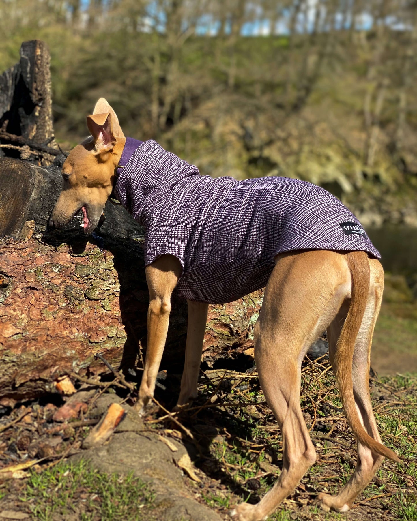 THE MADDY Dog Tooth Check Greyhound Jumper