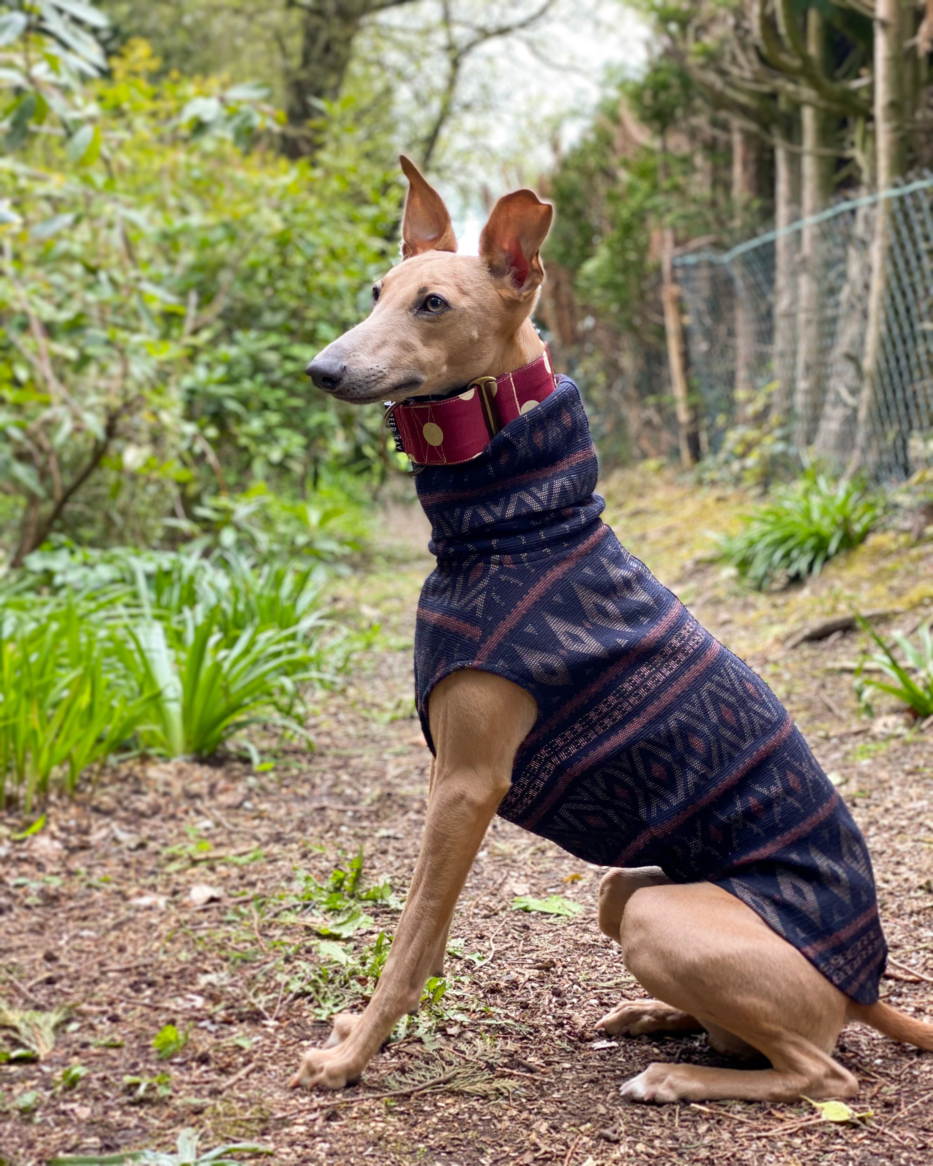 THE SAMMY Jumper Greyhound Size S Slim Snood