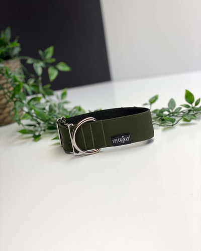 THE THEO Dog Collar For Your Puppy