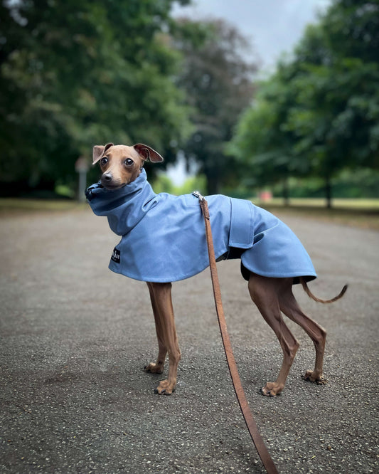 THE BLUE Lightweight Italian Greyhound Raincoat Collection