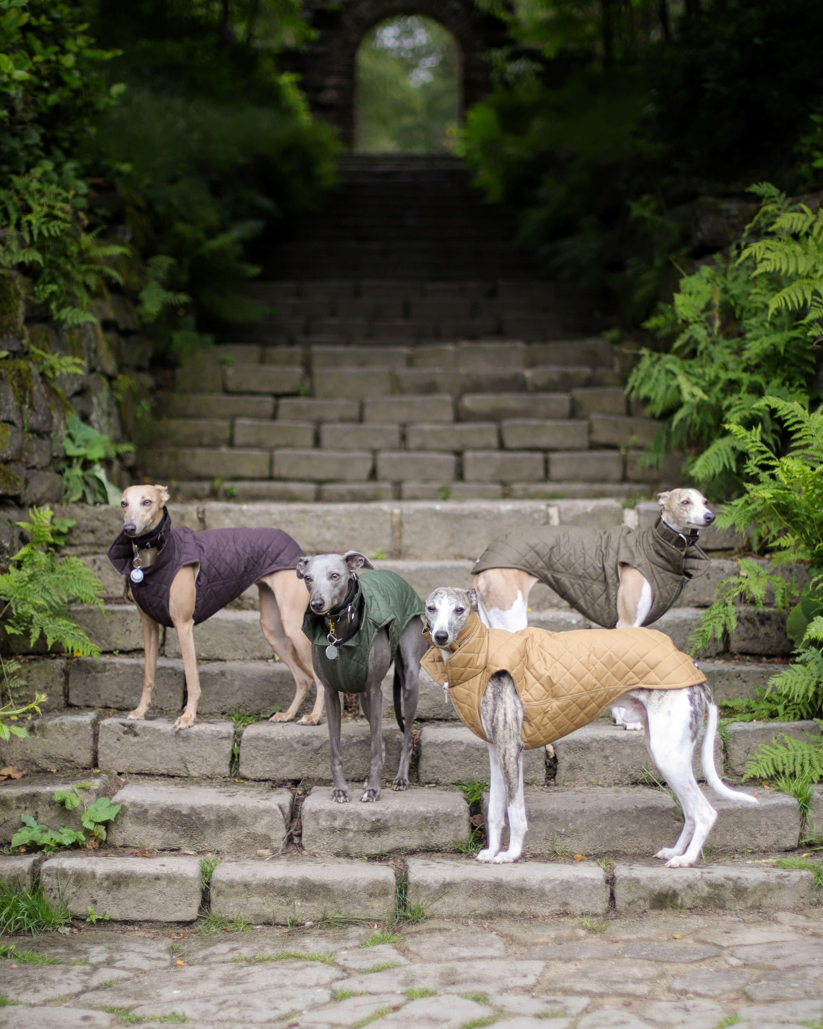THE MARGOT Whippet Gilet