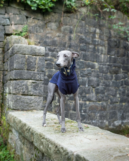 THE CAIRO Whippet Jumper (Blues)