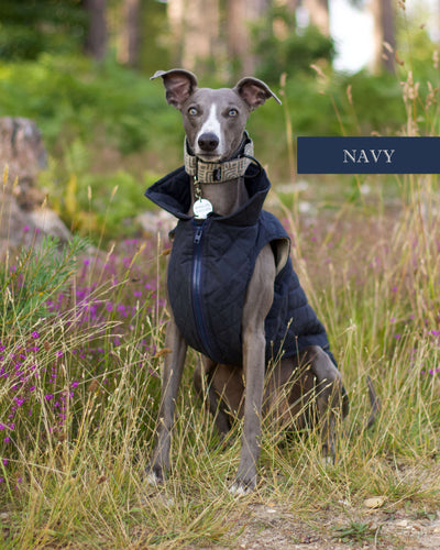 THE MARGOT Whippet Gilet