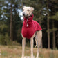 THE CAIRO Whippet Jumper (Reds)