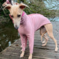THE CAIRO Whippet Jumper (Reds)